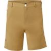 imageMARMOT Mens Arch Rock Shorts 8quotShetland  Latest Collection