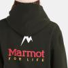 imageMARMOT Womens Life HoodyRosin Green