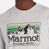 imageMARMOT Mens MMW Gradient ShortSleeve Tee  Screen Printed Graphic on Soft Breathable EcoFriendly CottonPoly BlendLight Grey Heather