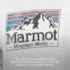 imageMARMOT Mens MMW Gradient HoodyLight Grey Heather